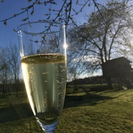 Ferienhaus Gerestaureerde Hoeve Met Zicht Durbuy