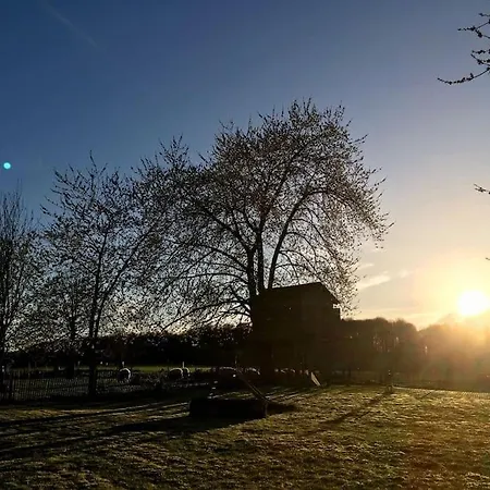 Gerestaureerde Hoeve Met Zicht